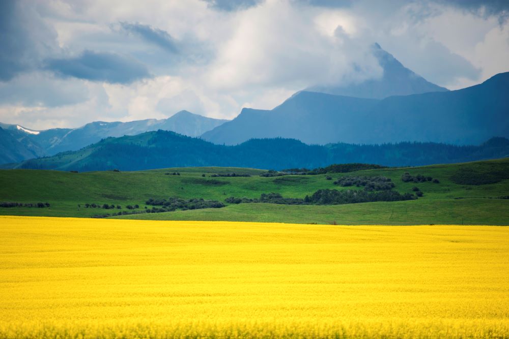 Alberta is Calling! Get Pre-approved with a Local Alberta Mortgage Broker.